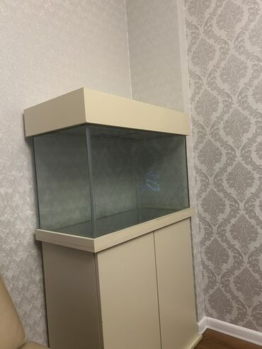 Akvariumlar: Dördbucaq akvarium, Boş, 140 l — 4