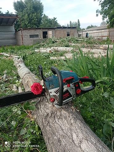 дров: Бак кыябыз, отун аралайбыз,бак жыгабыз! Баасы келишим турдо. Цена — 1