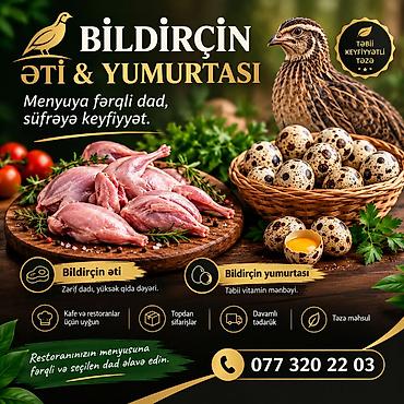 iron magic milk: Bildirçin əti və yumurtası Menyuya fərqli dad, süfrəyə keyfiyyət — 1