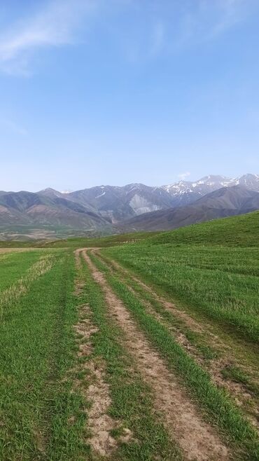 Услуги портера: Заказать Самосвал, Доставка щебня, угля, песка, чернозема, отсев — 6