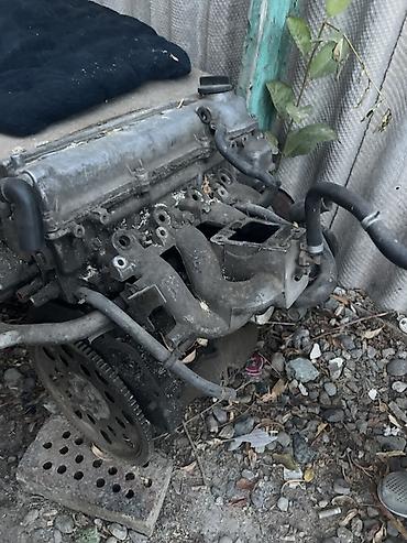 neta gt: Жазашкерек арзан еле берем 8000 — 2