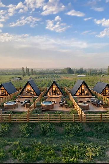 Продажа сельхоз предприятий: Питомник растений, 220 соток, Действующий, Частично с оборудованием, Холодная вода, Электричество — 2