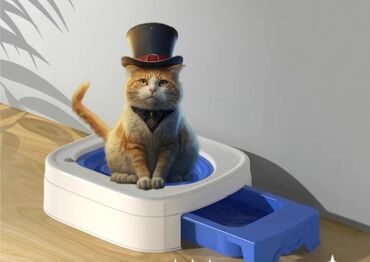 Зоотовары: Зоотовары.
Игрушки для животных — 10