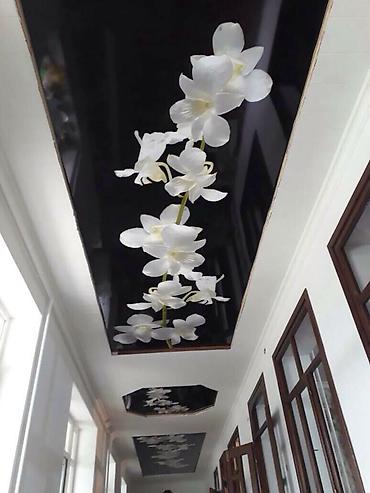 Натяжной потолок: Натяжные потолки 
город Манас — 8