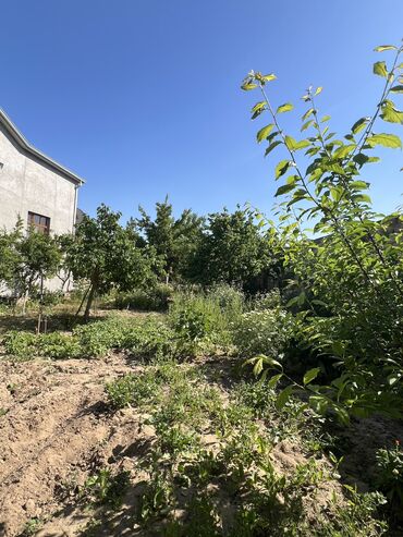 Bağ evlərinin satışı: Digah, 340 kv. m, 4 otaqlı, Artezian quyusu, Kanalizasiya, Kombi — 35