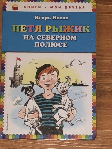 аспиратор для носа детский: Книга в хорошем состоянии Петя рыжик на северном полюсе Игорь Носов