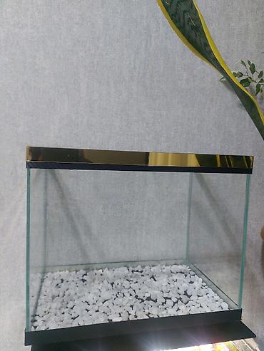 akvarium qızdırıcı: Qold Akvaryum çox gözəl görnüşə malikdi yenidi ölçü 35×22×29 bunan — 5