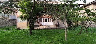 Həyət evləri və villaların satışı: Şəki şəhər Sabit Rəhman küç. dal6/8 — 1