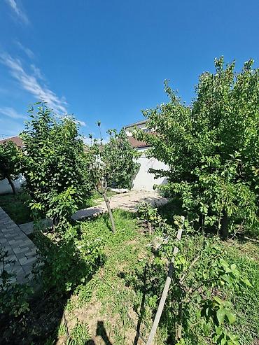 vila: Zabrat 7 otaqlı, 200 kv. m, Kredit var — 5