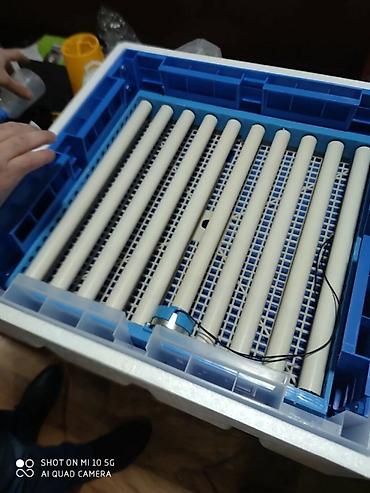 ınqbator: 50 yumurta, Çin, Fabrik istehsalı, Tam avtomat, Zəmanət ilə — 10