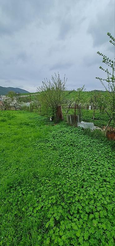 Torpaq sahələrinin satışı: 12 sot, Tikinti — 3