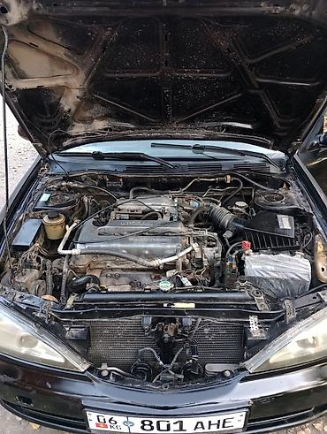 315 60: Nissan Primera: 1999 г., 2 л, Механика, Бензин, Универсал — 6