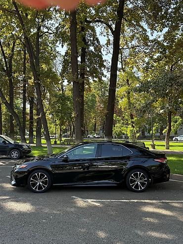 rav 4 2018: Toyota Camry: 2019 г., Автомат, Седан — 2