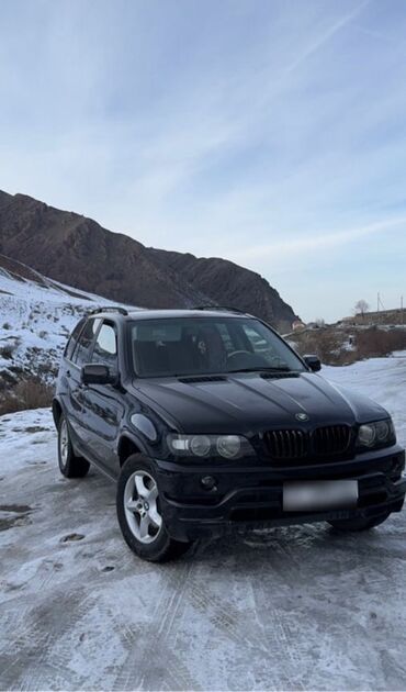 BMW: BMW X5: 2001 г., 3 л, Автомат, Бензин, Кроссовер