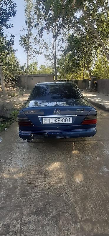 mercedes vito 8 1: Mercedes-Benz E-Class: 2.5 l | 1992 il Sedan — 3