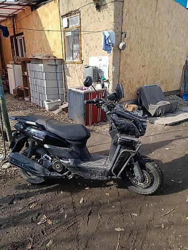 Скутеры: Скутер DongFang (маркировка на кожухе двигателя) Характеристики и — 5