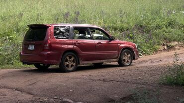 Subaru: Subaru Forester: 2003 г., 2 л, Автомат, Бензин, Универсал — 10