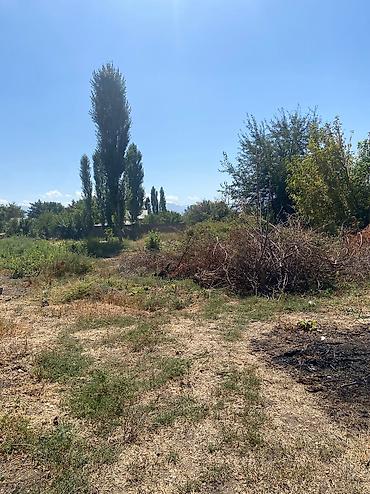 Продажа домов: Дом, 17 м², 3 комнаты — 3