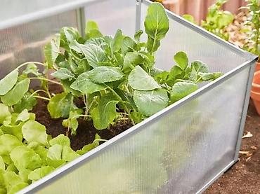 Ostala baštenska oprema: PARKSIDE mini staklenik za baštu - Tip: baštenski mini‑staklenik — 15