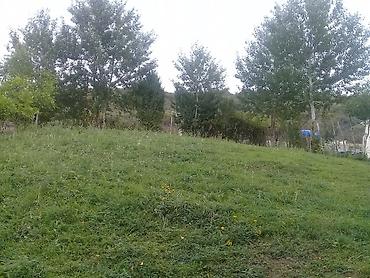 Torpaq sahələrinin satışı: 14 sot, Tikinti, Mülkiyyətçi, Kupça (Çıxarış) — 11