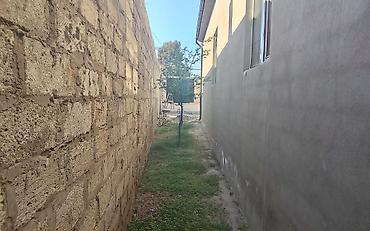 memar ecemi kiraye ev: 7 otaqlı, 245 kv. m, Kredit yoxdur, Təmirsiz — 3