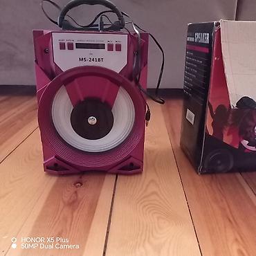 Audio: MS-241BT portativ səs gücləndiricisi - Model: MS-241BT (LED) - Növ — 1