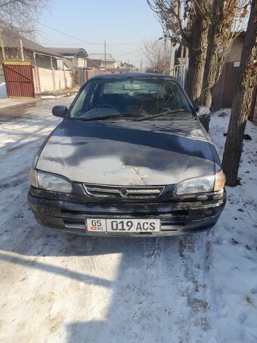 Toyota: Toyota Corolla: 1995 г., 1.6 л, Автомат, Бензин, Седан