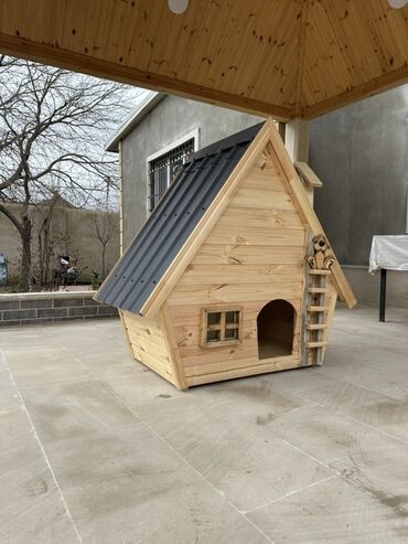 Yuvalar: Yeri pol taxtasından yığılmadı ümumi yuva özü obşıvka taxtadan.Damı — 8