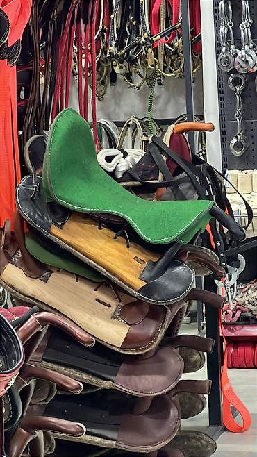 Другие животные: Ат жабдыктар — 14