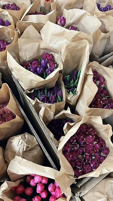 Букеты из живых цветов: Тюльпаны в букете-миксе - Срезанные тюльпаны в крафт-упаковке — 2