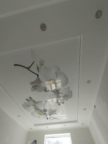 Потолочные работы: Монтаж потолков, Монтаж потолочных плинтусов Больше 6 лет опыта — 24