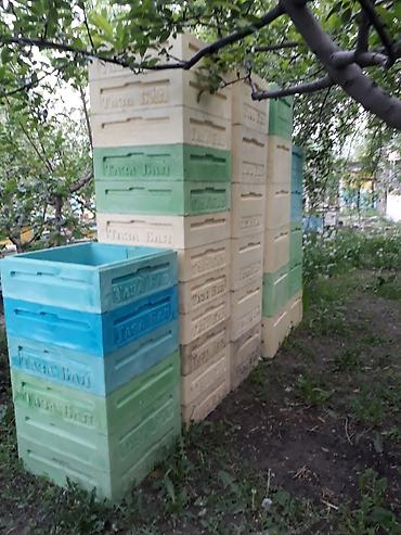 Другие с/х животные: Ульи для пчёл Преимущества ППУ ульев Пенополиуретан (ППУ) -Это — 2