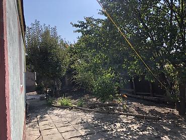 5: 3 комнаты, 110 м², 5 соток, Новопавловка, Собственник — 10