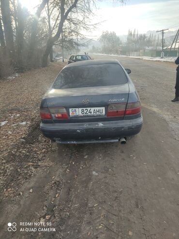 таета авесис: Ушуну ким айдап жургон болсо мага чалып койчу сураныч ареске берем тез