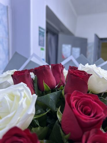 Швеи-реставраторы: Швея-реставратор, Форма, Оплата: Сдельная, График работы: Сменный график, Опыт работы: 3-5 лет опыта, Женщина — 5