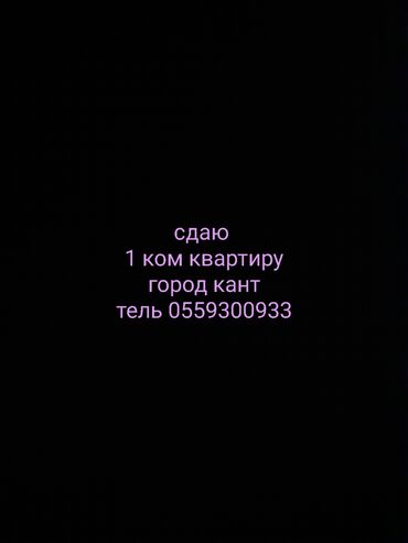 батир берилет бишкек: 1 бөлмө, Менчик ээси, Чогуу жашоосу жок, Жарым -жартылай эмереги бар