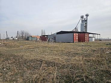 сон куль: 129 соток, Красная книга, Тех паспорт — 6