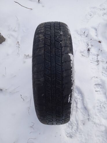 Шины: Шины 175 / 75 / R 14, Всесезонная, Б/у, 1 шт, Легковые, Корея, Bridgestone