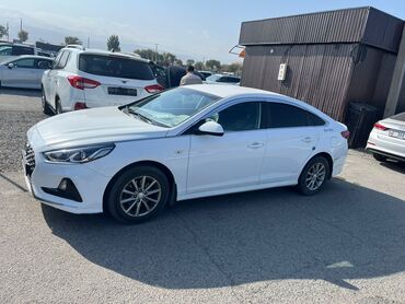 хундай автомобиль: Hyundai Sonata: 2020 г., 2 л, Автомат, Газ, Седан
