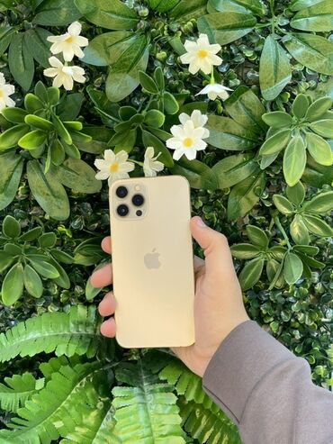 en ucuz iphone 11 pro max: IPhone 12 Pro Max, 256 GB, Qızılı, Face ID, Zəmanət
