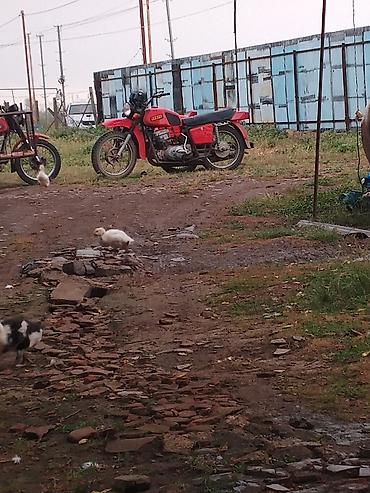 50 kub moped: - Qırmızı rəngli üçtəkərli motosiklet (yan qoşqulu) - Yan qoşqulu — 2