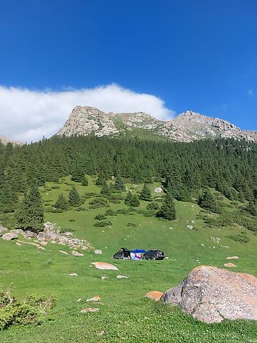 панорама 2: По ся 2 к кв. крыша перекрыта. сан узлы раздельные — 1