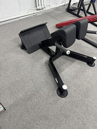 flex balance: Гиперэкстензия 45° (римский стул) для тренировки разгибателей спины — 1