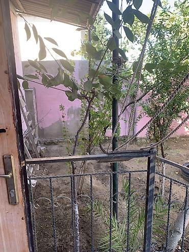 Həyət evləri və villaların satışı: 3 otaqlı, 70 kv. m, Orta təmir — 27