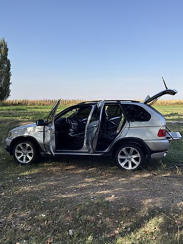 BMW: BMW X5: 2002 г., 4.6 л, Автомат, Бензин, Кроссовер — 4