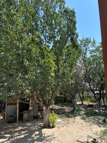 дома в кок жар: 60 м², 3 комнаты, Подвал, погреб, Забор, огорожен