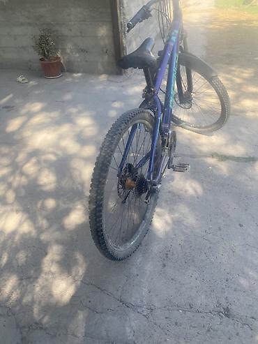 low2 fixie: Горный велосипед Phoenix - Рама: хардтейл, алюминиевая/стальная (по — 2