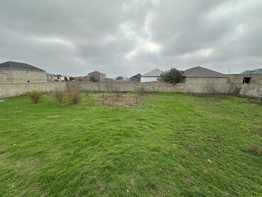 Torpaq sahələrinin satışı: 7 sot, Tikinti, Mülkiyyətçi, Bələdiyyə, Kupça (Çıxarış) -da lalafo.az — 2 Torpaq sahələrinin satışı: 7 sot, Tikinti, Mülkiyyətçi, Bələdiyyə, Kupça (Çıxarış) — 2