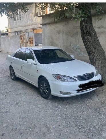 карбиратор на газ 53: Toyota Camry: 2003 г., 2.4 л, Автомат, Газ, Седан