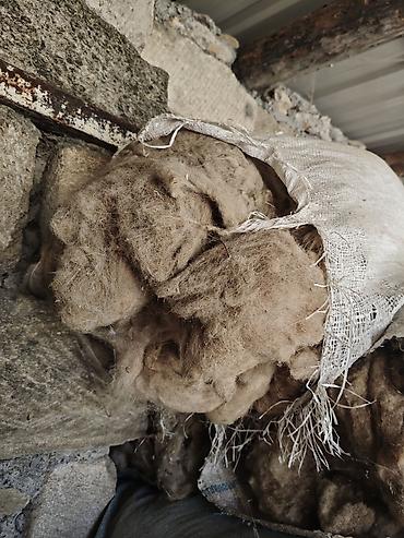 qoyun şekilleri: Çirkli yün. 3 manata. Real alıcıya endirim olacaq Məhsul: Təbii qoyun — 3